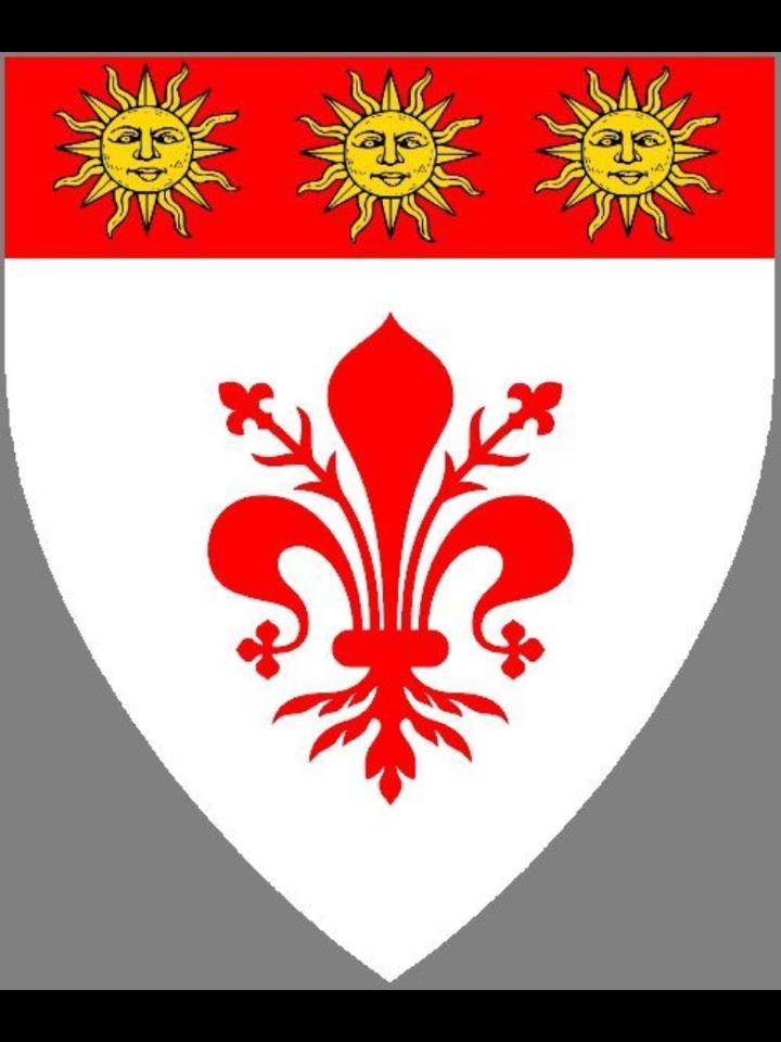 Argent, a fleur-de-lys and on a chief gules three suns in their splendor Or.